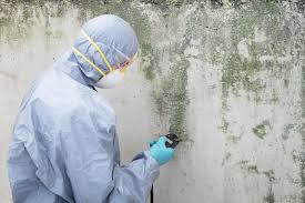 Biohazard Mold Removal in Seaford, DE